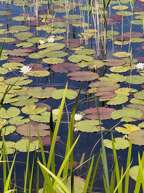 MEDITATIONS-RETREAT IN KLOSTER SEEON